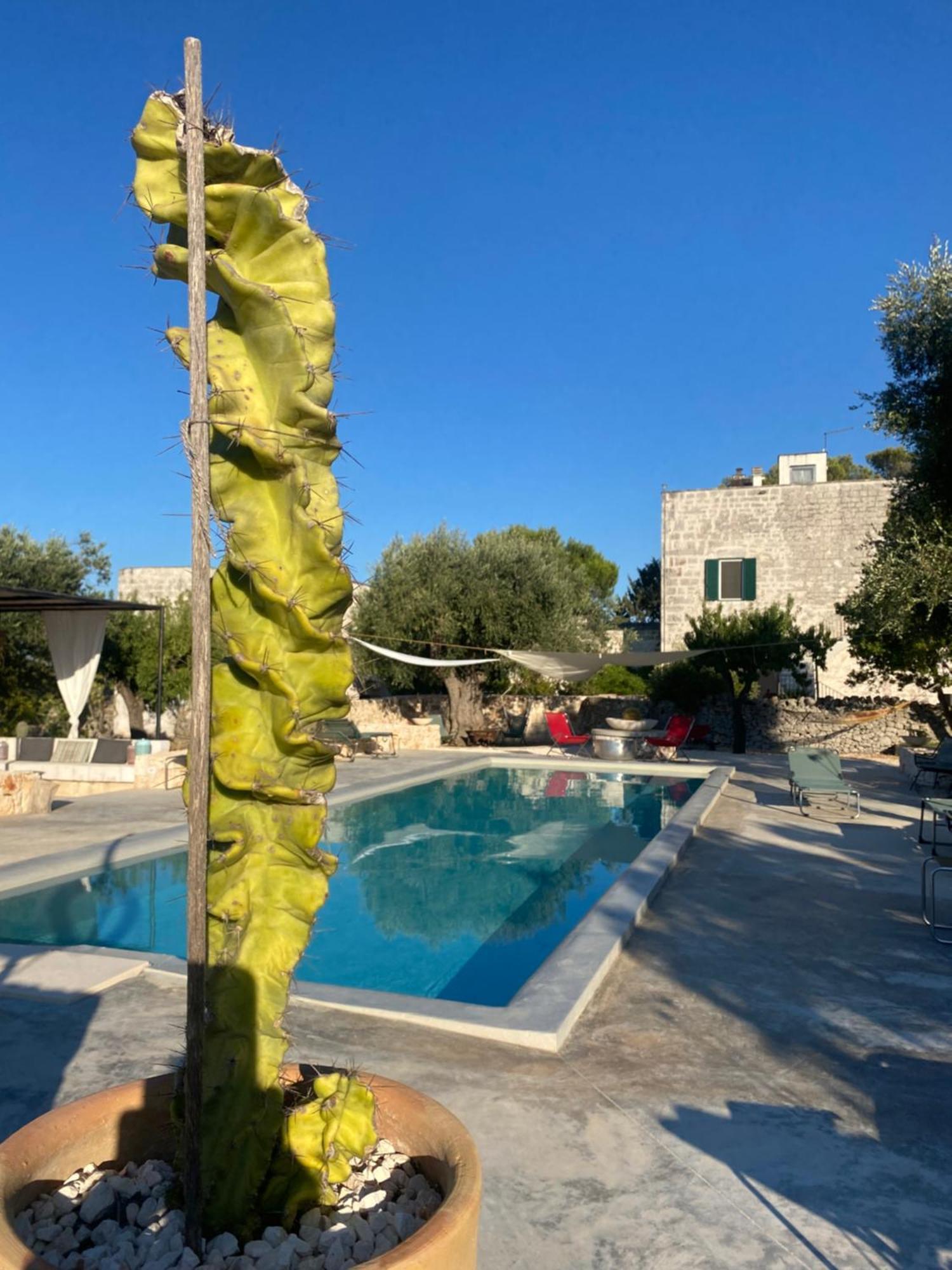 Masseria Serafino Остуни Экстерьер фото